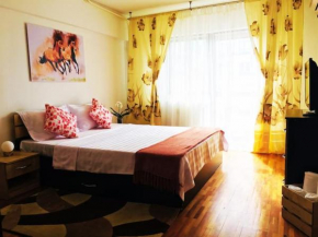 City Center Unirii SHARED 3 Rooms 1 shared bath in Apartment with balcony NationalLibrary